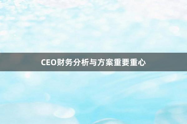 CEO财务分析与方案重要重心