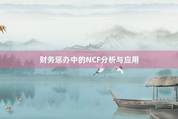 财务惩办中的NCF分析与应用